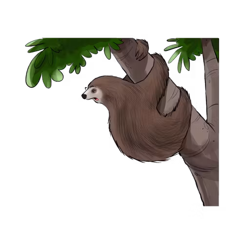 Ilustração Preguiça Lazinha